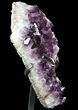 Large, Amethyst Crystal Cluster On Metal Stand - Uruguay #80745-3